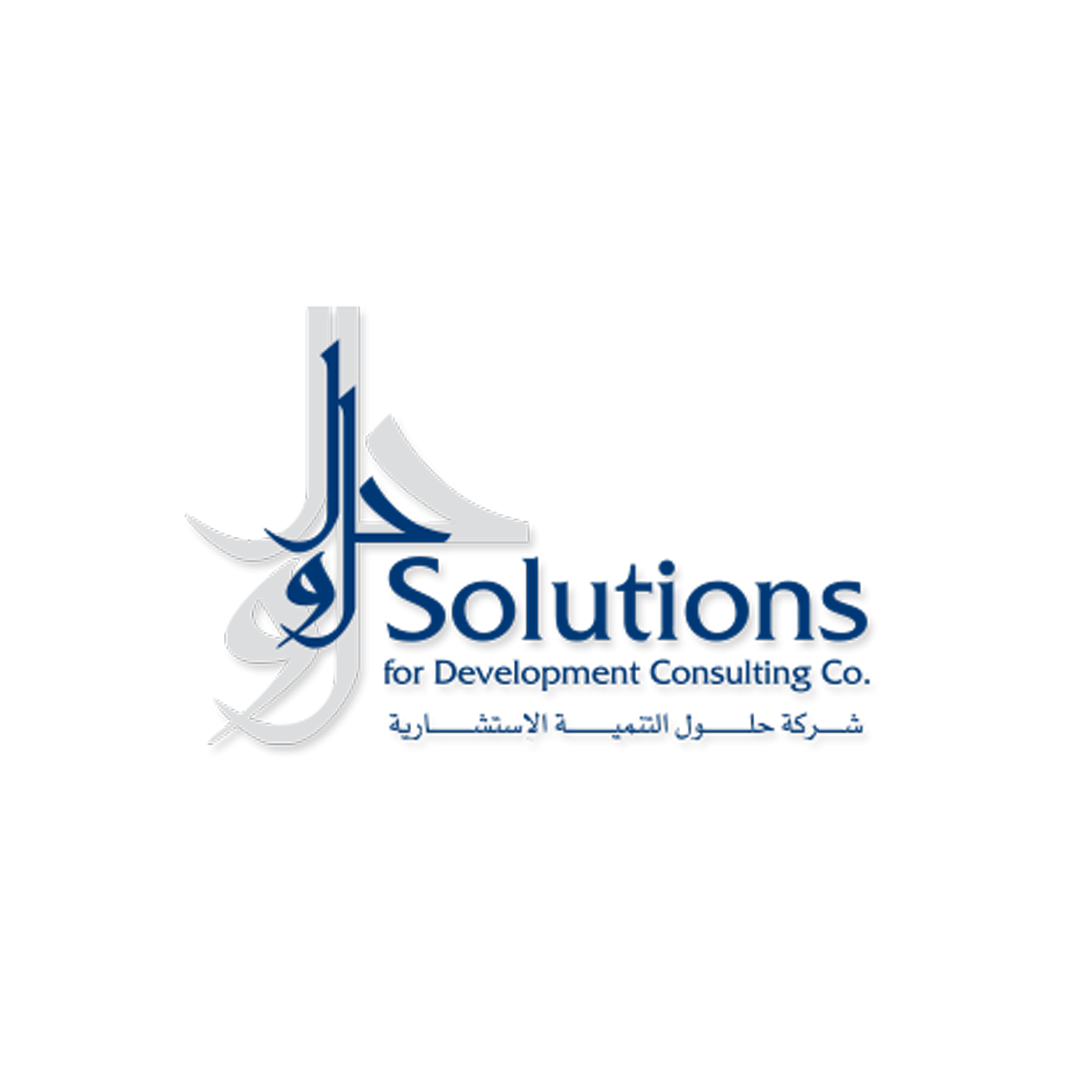 Solutions for Development Consulting